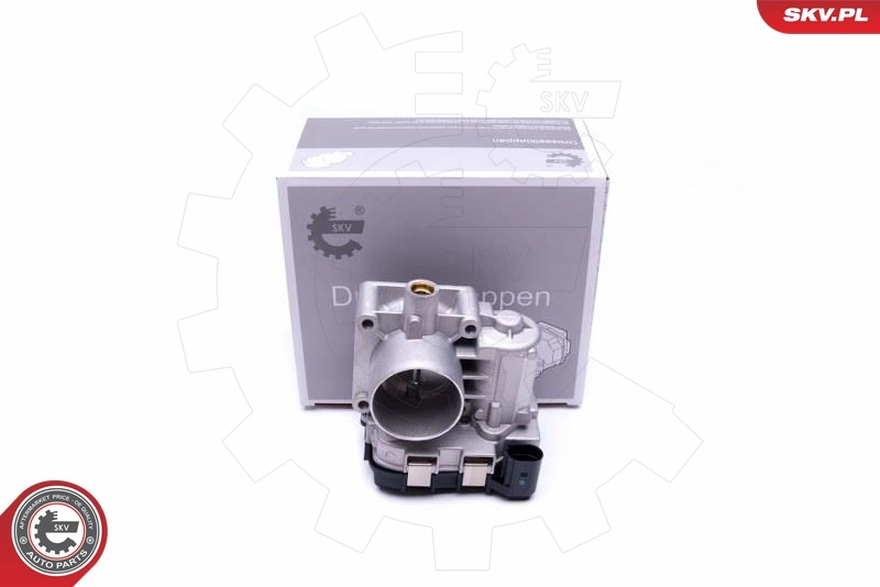 Throttle Body